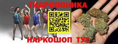 гашик Аша