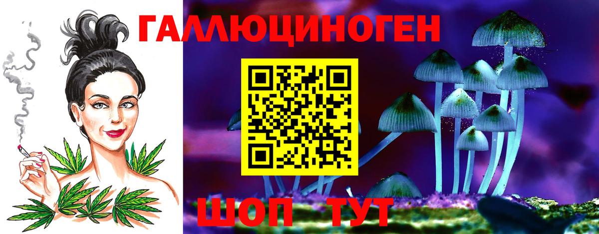 Псилоцибиновые грибы ЛСД Владикавказ