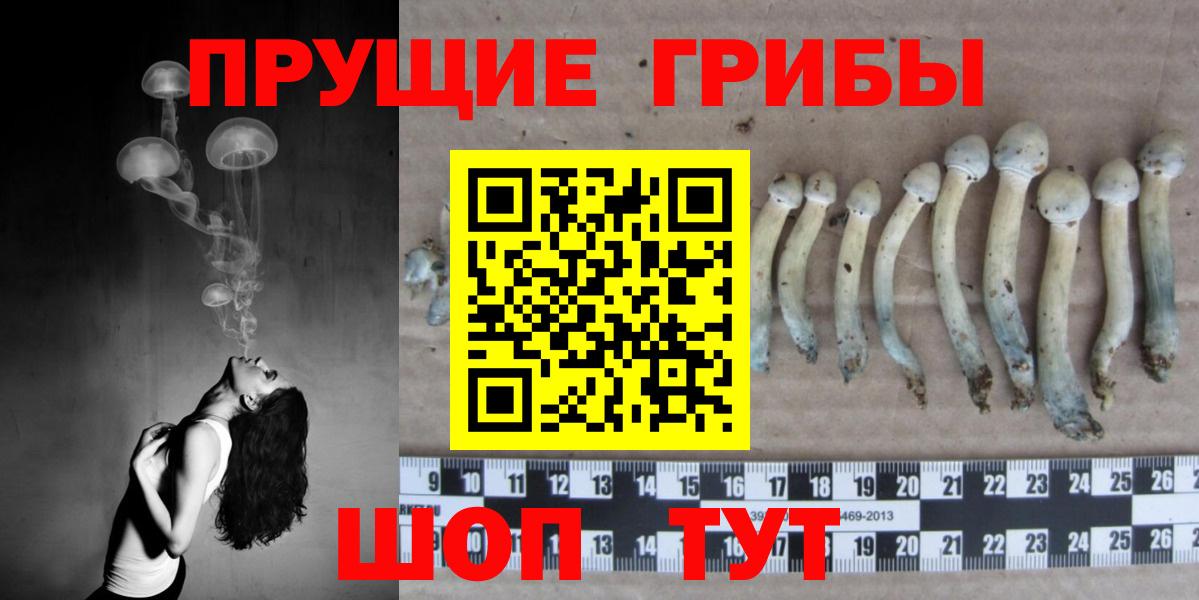 Галлюциногенные грибы Psilocybe  Вход с VPN  Псилоцибиновые грибы мухоморы  Владикавказ 